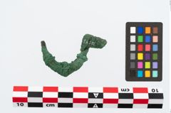 Foto von Bronzekahnfibel (NHMW-PRAE-026548)